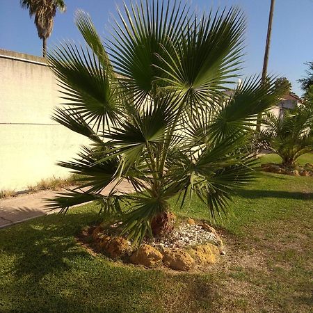 הוילה קרמונה La Casita מראה חיצוני תמונה